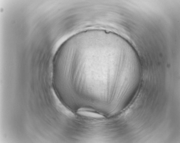 X0000088651522200706151955