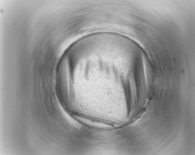 X0000088651523200706151955