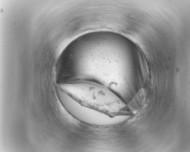 X0000088651524200706151955