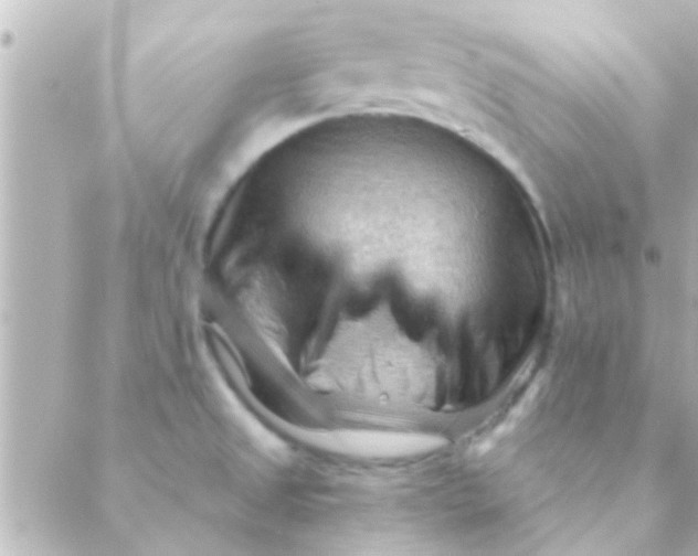 X0000088651525200706151955