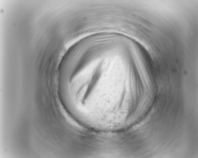 X0000088651526200706151955