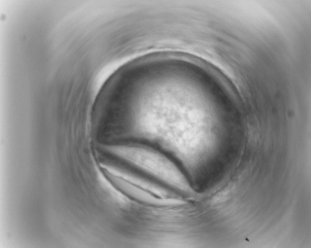 X0000088651527200706151955