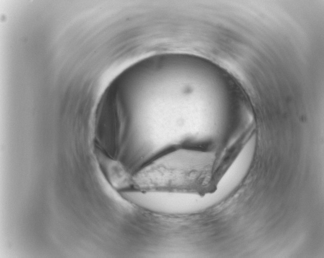 X0000088651528200706151955