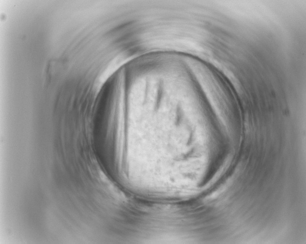 X0000088651529200706151955