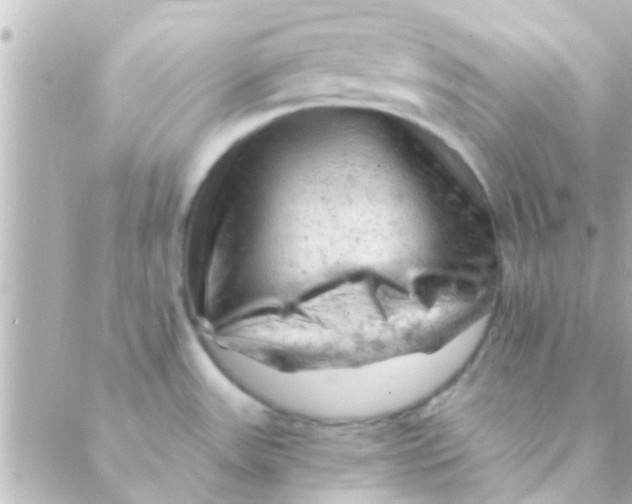 X0000088651531200706151955