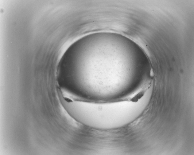 X0000088651532200706151955