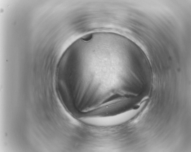 X0000088651533200706151955