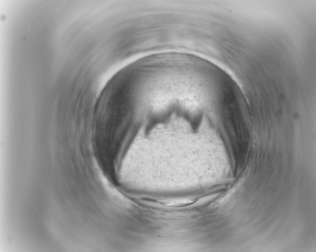 X0000088651534200706151955