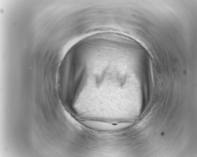 X0000088651535200706151955