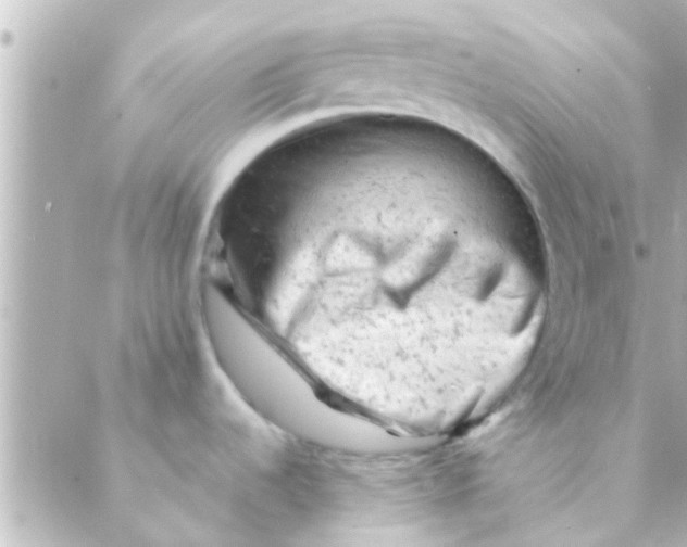 X0000088651536200706151955