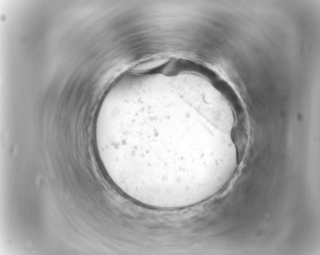 X0000088650001200706221622