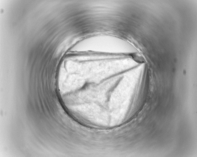 X0000088650002200706221622