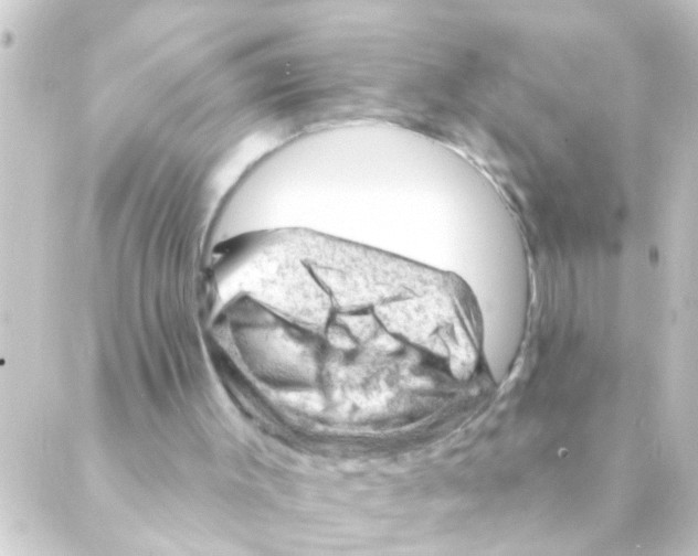 X0000088650003200706221622