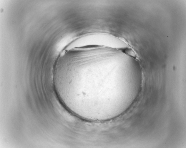 X0000088650005200706221622