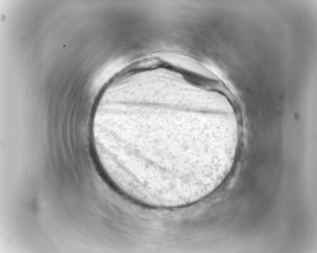 X0000088650007200706221622