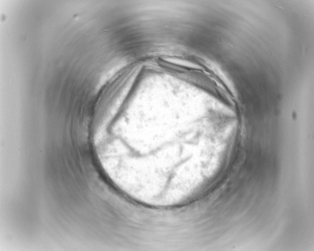 X0000088650010200706221622