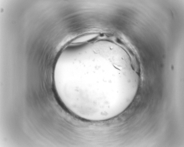 X0000088650011200706221622