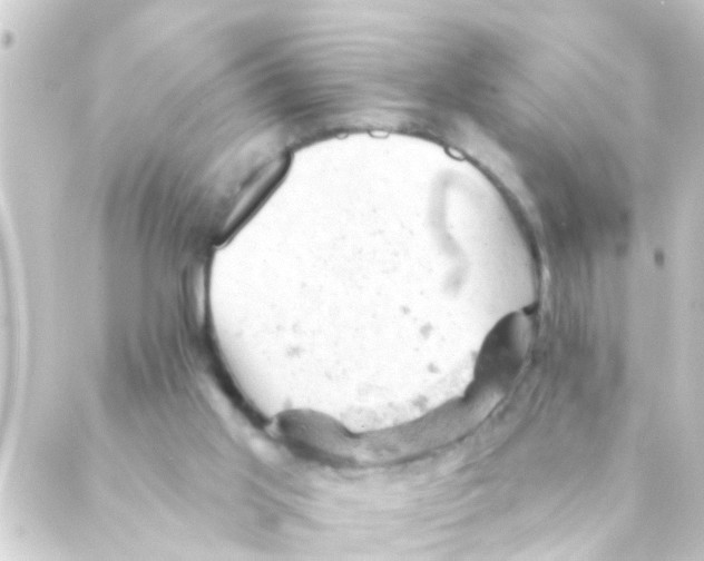 X0000088650013200706221622