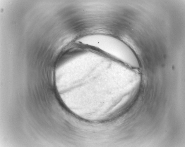 X0000088650014200706221622