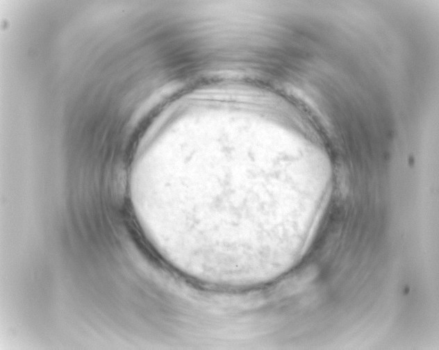 X0000088650016200706221622