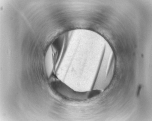 X0000088650017200706221622