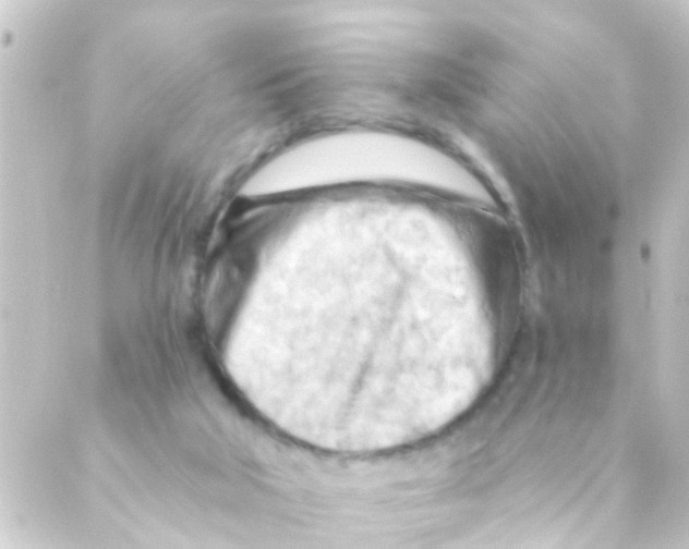 X0000088650018200706221622