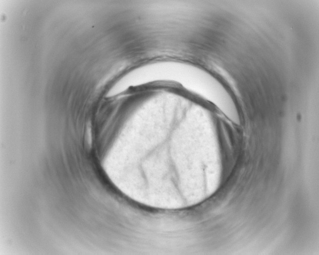 X0000088650020200706221622