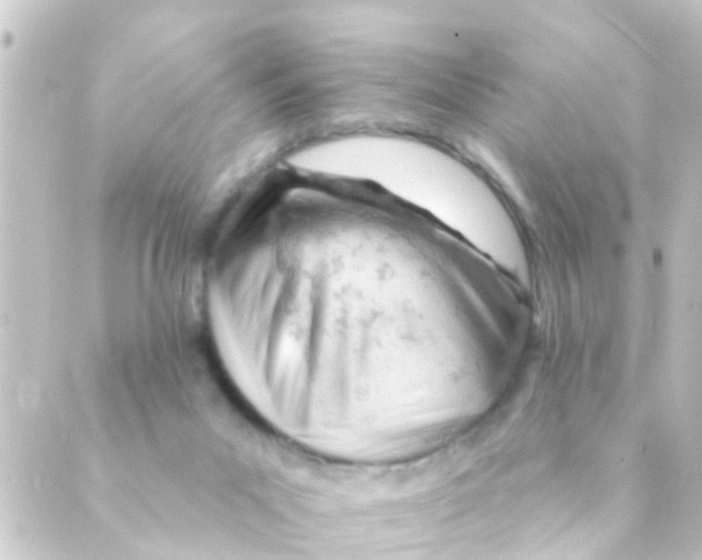 X0000088650023200706221622