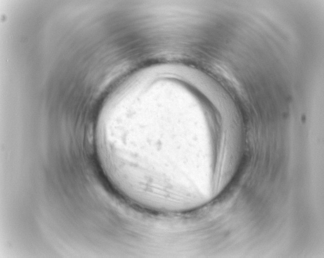 X0000088650024200706221622