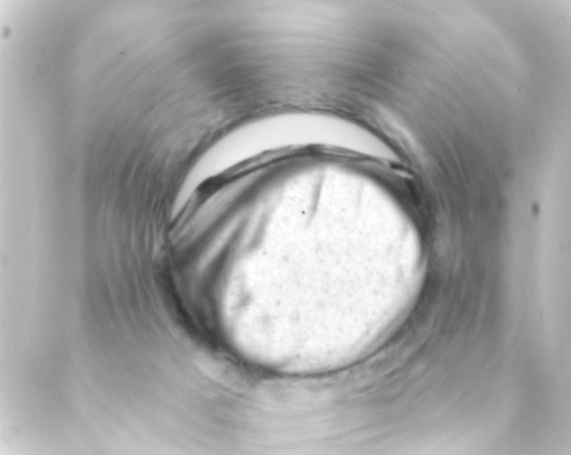 X0000088650025200706221621