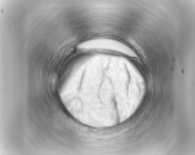 X0000088650026200706221621