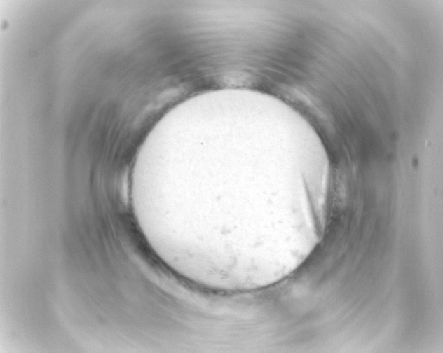 X0000088650028200706221621