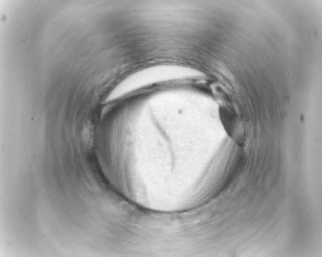 X0000088650029200706221621