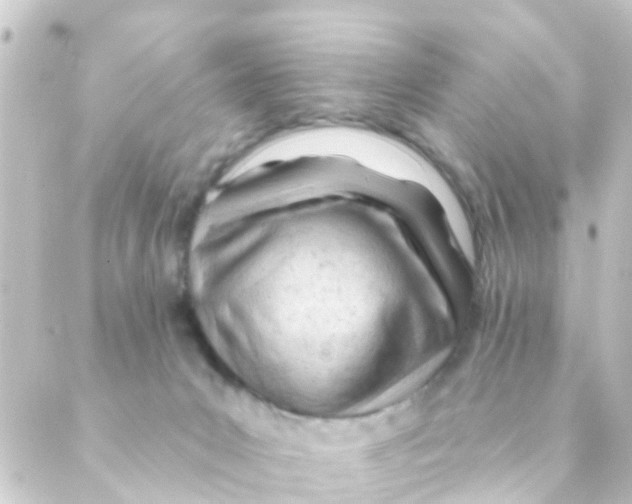 X0000088650031200706221621