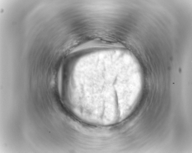 X0000088650032200706221621