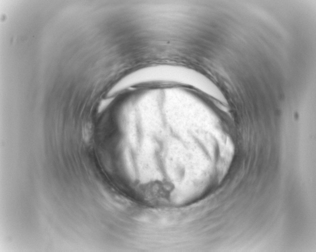 X0000088650033200706221621