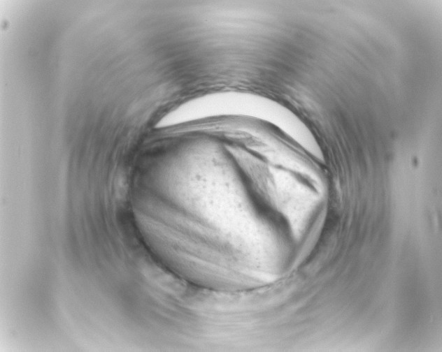 X0000088650037200706221621