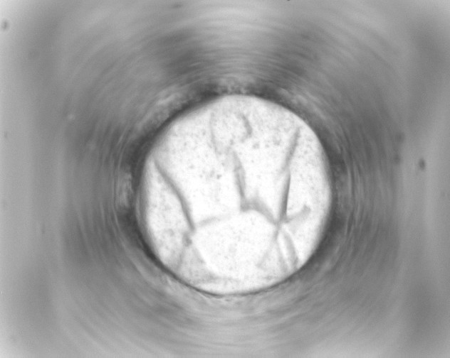 X0000088650038200706221621