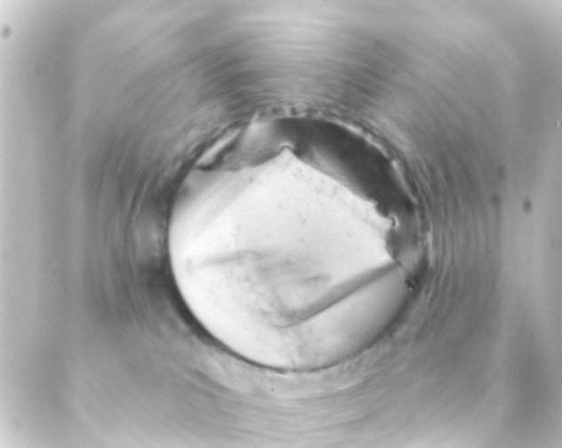 X0000088650039200706221621