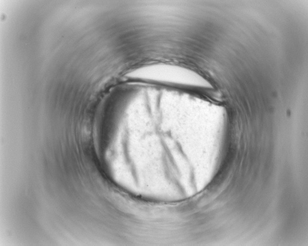 X0000088650040200706221621