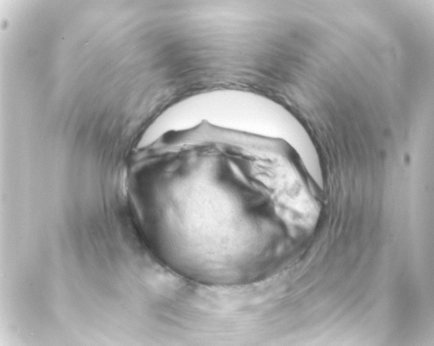 X0000088650041200706221621