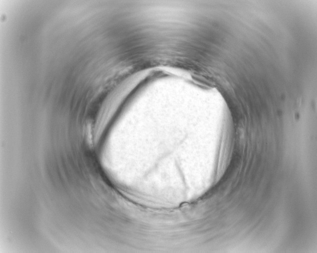 X0000088650042200706221621