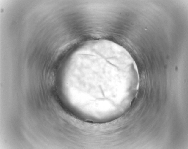 X0000088650043200706221621