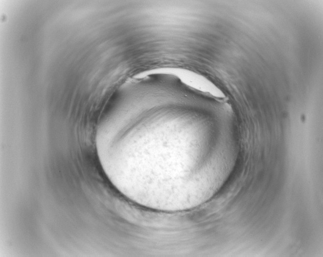 X0000088650044200706221621