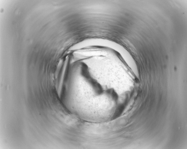 X0000088650045200706221621