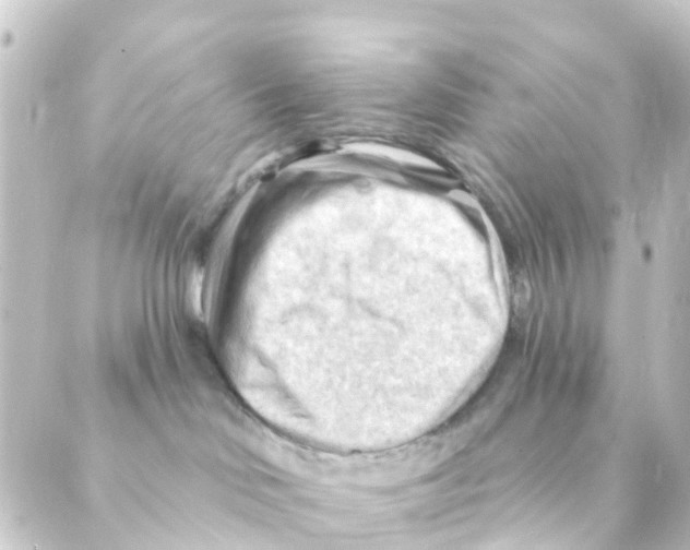 X0000088650046200706221621