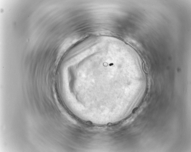 X0000088650049200706221620