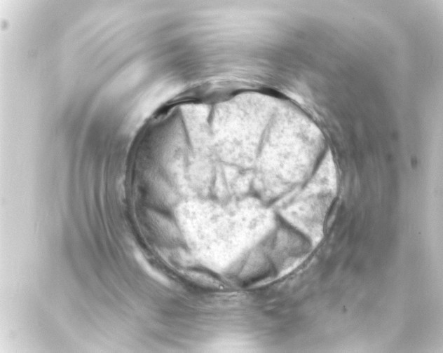 X0000088650050200706221620