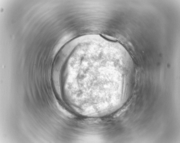 X0000088650051200706221620