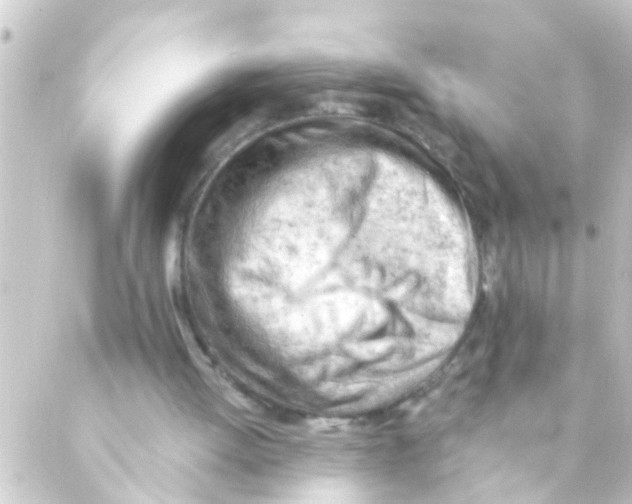 X0000088650052200706221620